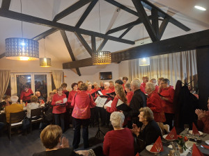 634519930_958196823533951_1083306476195677802_n 